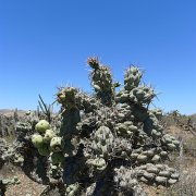 Baja2011 151 : Baja2011